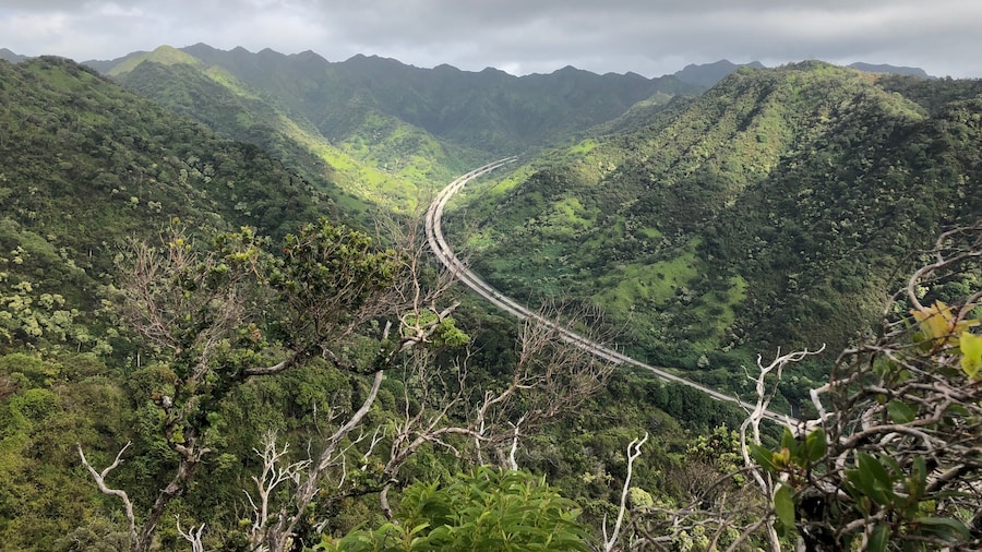 Aiea Loop Trail