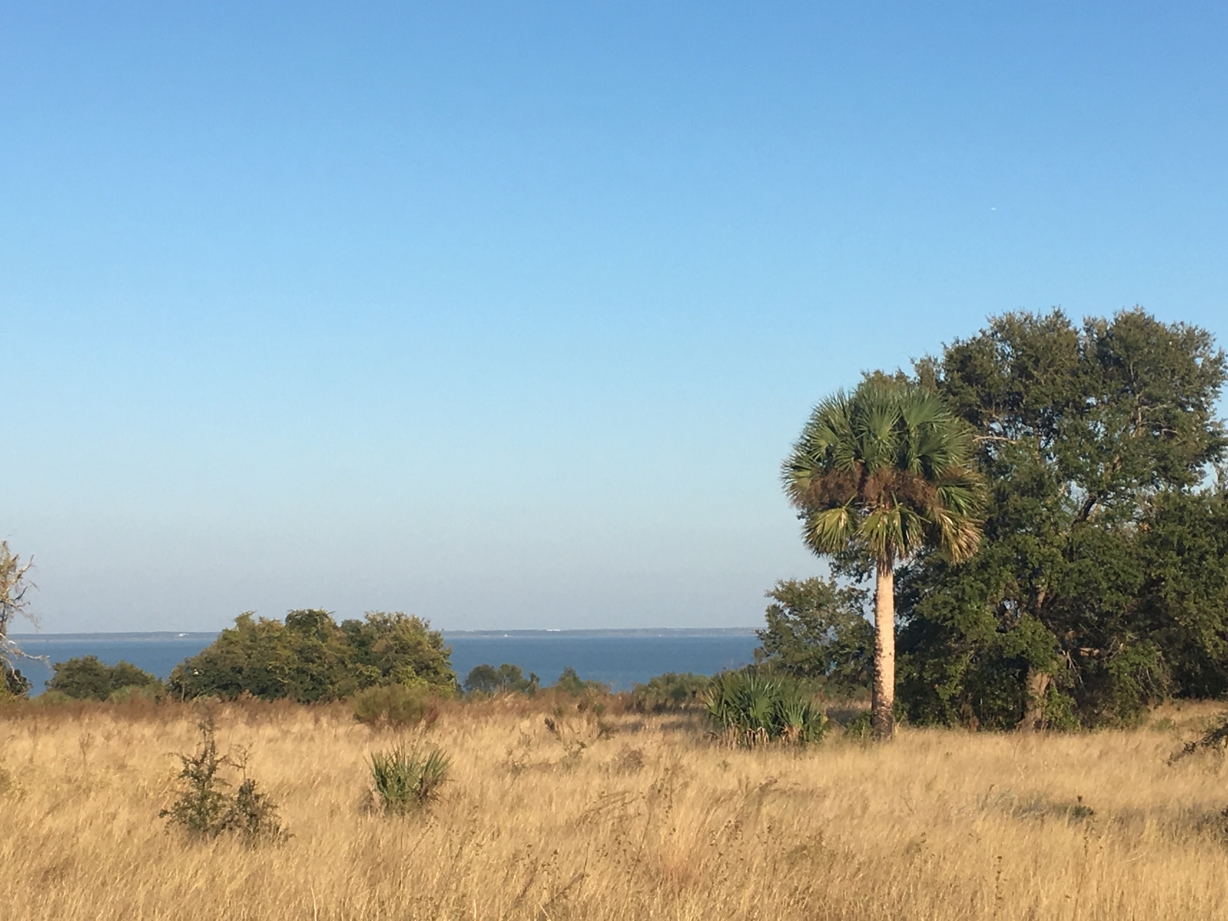 Views of Lake Apopka 