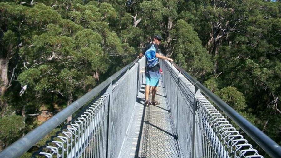 A fun thing to do with kids and the scenery is superb