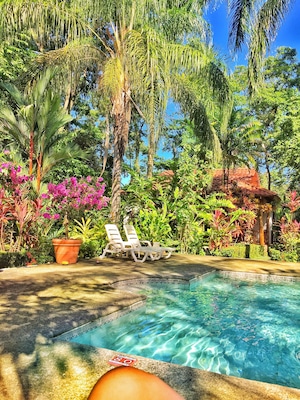 Eco friendly lodge that I stayed in Costa Rica. It's a beautiful place but it's a little far away from everything if you don't have a car. With a car it's 45 minutes away from Manuel Antonio Beach. Breakfast staff is friendly but owner was a little too grumpy for my taste.