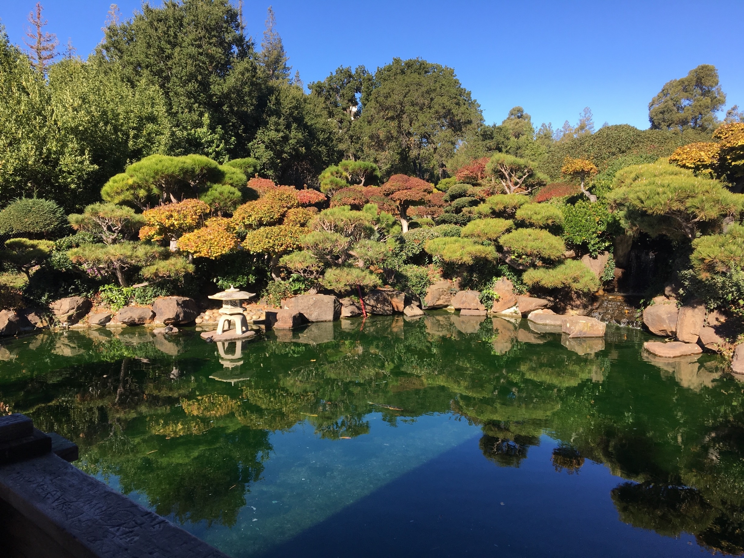 Hayward Japanese Gardens Hayward Vacation Rentals Condo And Apartment Rentals More Vrbo