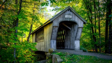 The Tannery Hill Covered Bridge spans the Gunstock Brook just north of the village proper in Gilford. The bridge was constructed by Tim Andrews and presented to the community of Gilford by the Gilford Rotary Club in 1995. It was built to link the town hall with the rest of the town center. It is named for the tannery that once stood in the area.
#LocalSecrets #MyBackyard #Trovember