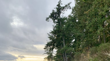 Beautiful scenery at the sweet little Manchester State Park. A very peaceful place to watch the ferries sail by. #seattleferries #seattle #portorchard