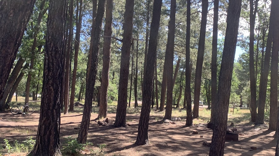 Woods Canyon Lake Recreation Area