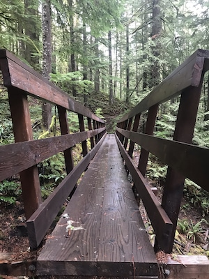 Bridge along the Clackamas River Trail, Oregon