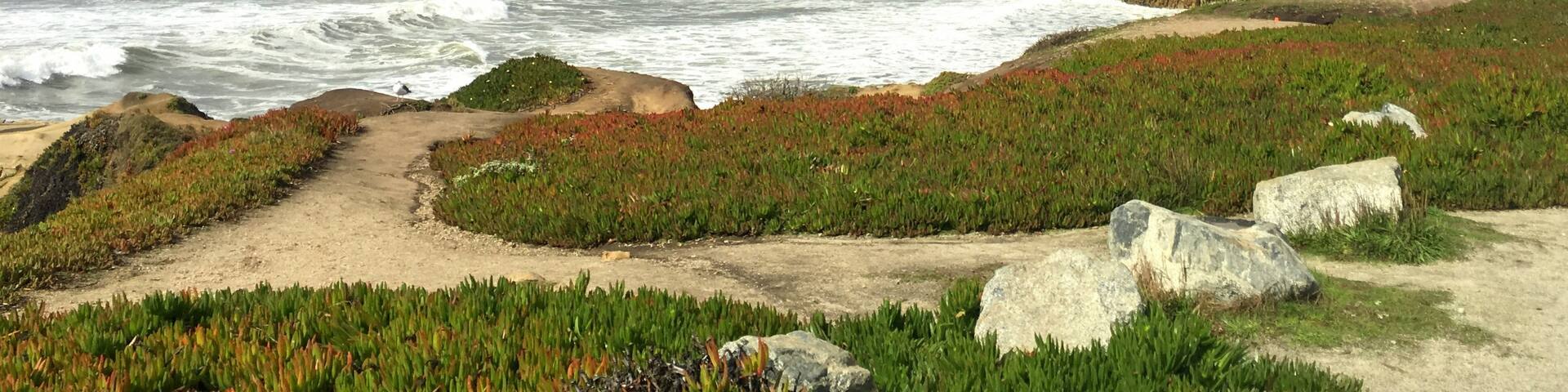 This is a must stop on the PCH! This beach has a mile-long shoreline with sandy coves, rocky cliffs, tide pools, fishing spots, and picnic facilities. Across the highway is Pescadero Marsh Natural Preserve, a popular spot for bird watchers and other naturalists. The Reserve is a refuge for wildlife such as: blue herons, kites, deer, raccoons, foxes, and skunks. #roadtrip #nature #ocean #flowers #animals #hiking #travel #view #BeachTips