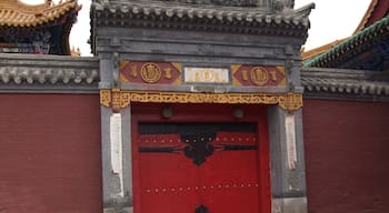 This door has an entirely different moon-shaped design. Apparently Chinese influence is not present. I took this shot from Inner Mongolia.