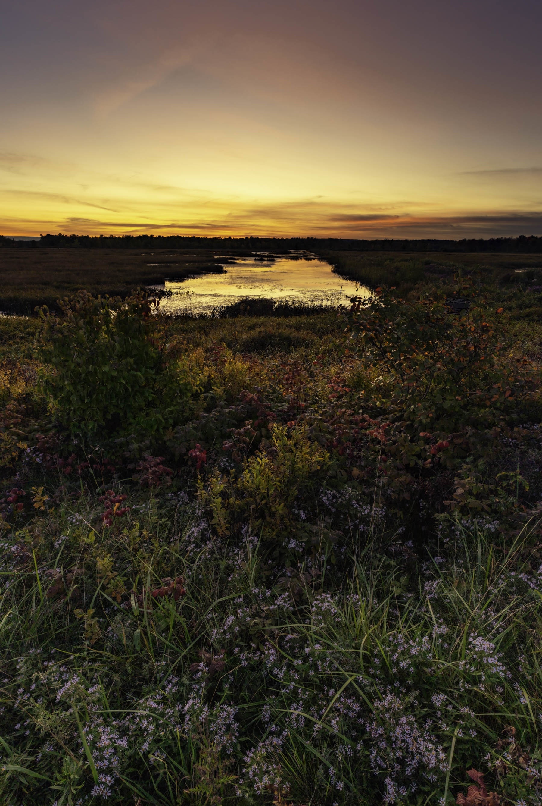 As we got close to Canada the Sun went down right over this beautiful NWR. On both sides of the road were pretty lowlands, and due to the crazy summer flowers were still blooming instead of fall color starting. 