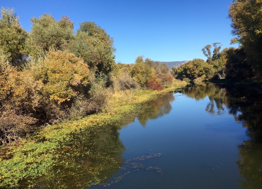 Day trip to Clear Lake, Ca. This tributary runs off into the lake. Wonderful spot to watch birds. #ClearLake #StateParks #Waterways #BirdWatching #Nature #Roadtrip #California