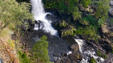Waterfall in tumbarumba, Australia 