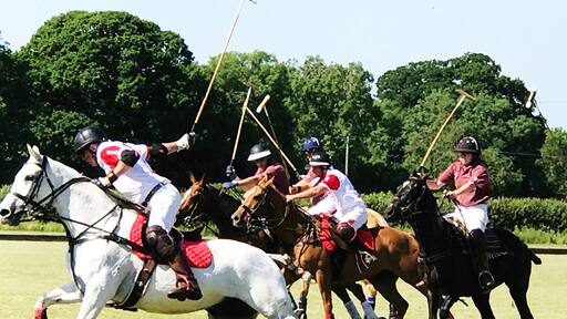 Billede taget af Sarah Haynes