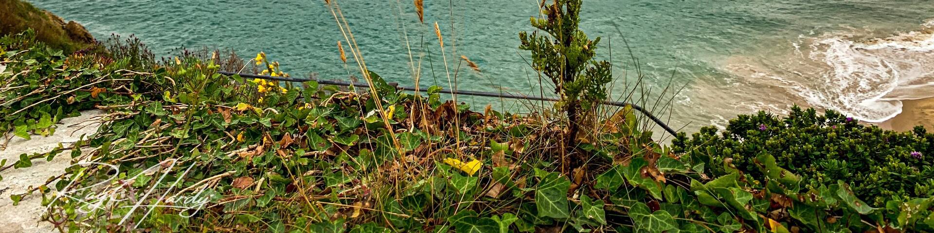 View from castle hill Tenby