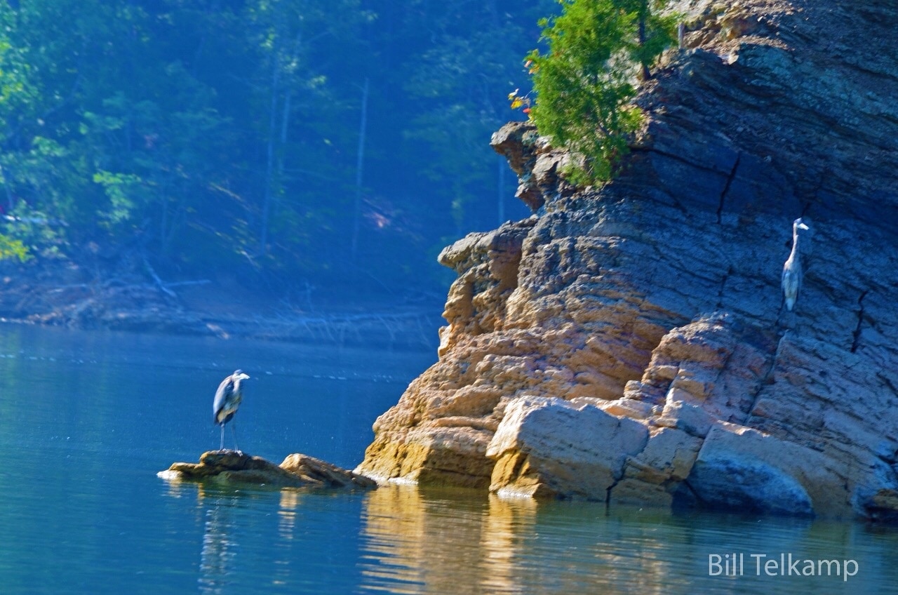 Norris Lake, Tennessee, United States of America