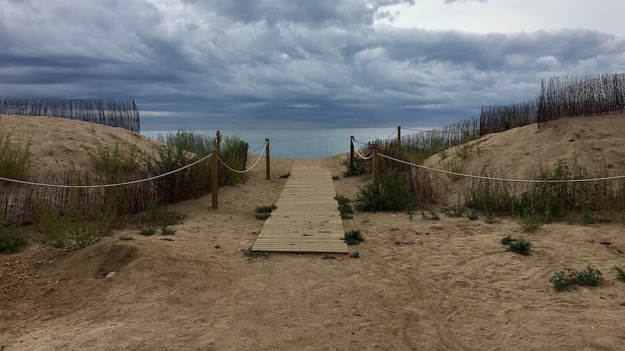 Way to the sea...