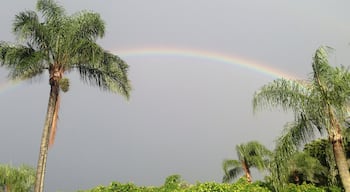 Rainbow brightening the grey sky in Delray Beach, Florida!