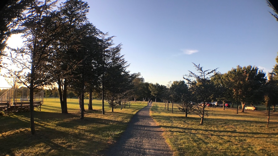 Parque Buccleuch