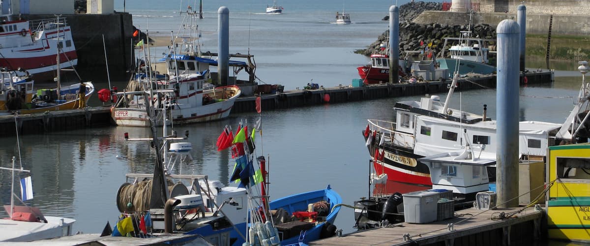 One of the best kept secrets outside France - the island of Oléron has it all: beauty, the best oysters in France, seafood fresh from the bay, local red and white wine of quality, island bred beef and friendly people. La Cotinière is a wonderful place to stay. 
Oléron is just south of La Rochelle.