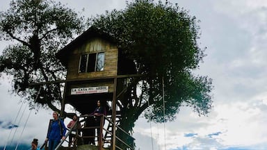 La Casa del Árbol in baños Ecuador. Stunning view and swing to the cloud. Worth it.