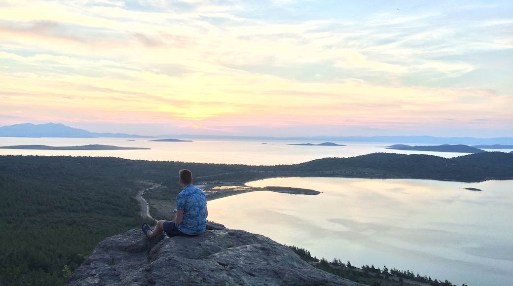 Foto av Evaldas KasparaviÄius