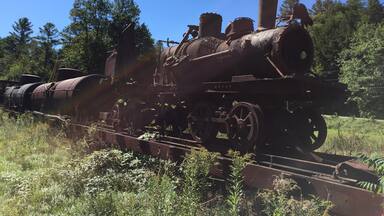 Decaying steam engine sitting on a flatbed railroad car. 