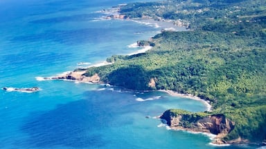 The rough-hewn northern coast of Dominica.  The tough coastline and mountainous interior made Dominica unsuitable for large colonial sugar plantations, and it now lays claim to the most pristine wilderness in the Caribbean.  So pristine, in fact, that you can still drink water from streams without filtration or purification.
