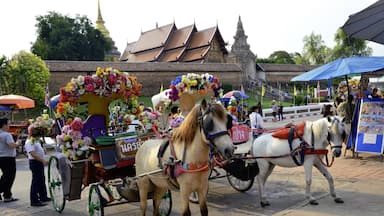 #Lampang #Thai #Temple 

#Thailand #Backpacking #TravelPhotography


See you also on Instagram: ExploreWithSeba 