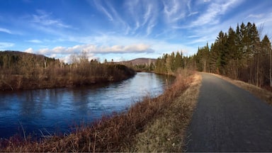 A Christmas without snow.   17C in Canada on Christmas day.   Waiting patiently for the snow to fall and the commencement of the cross country skiing on this beautiful trail.  