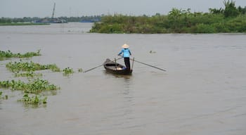 Cruising the Mekong