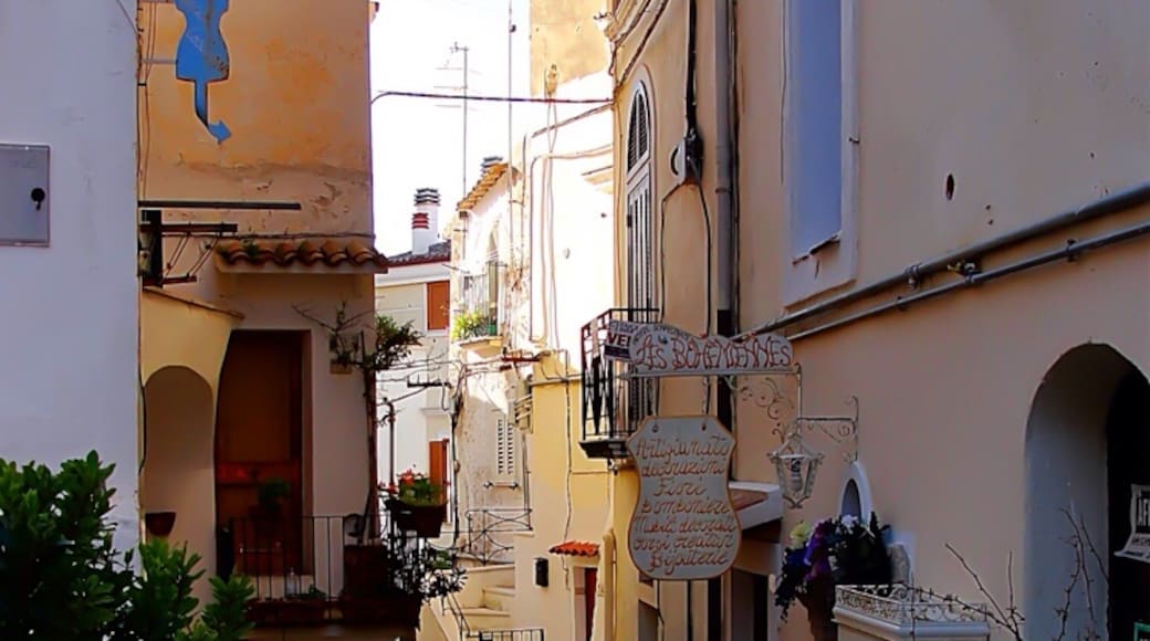 Photo de  Artur Mantura