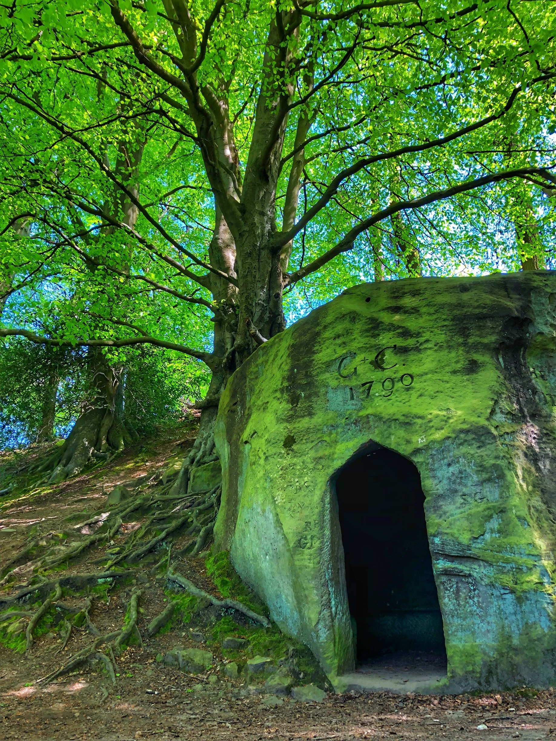 Valokuva: Neil Ellwood