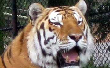 トロント動物園 スカボロー エクスペディア トロント動物園 スカボロー エクスペディア