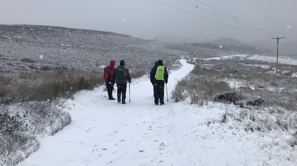 Billede taget af Jason Abdi