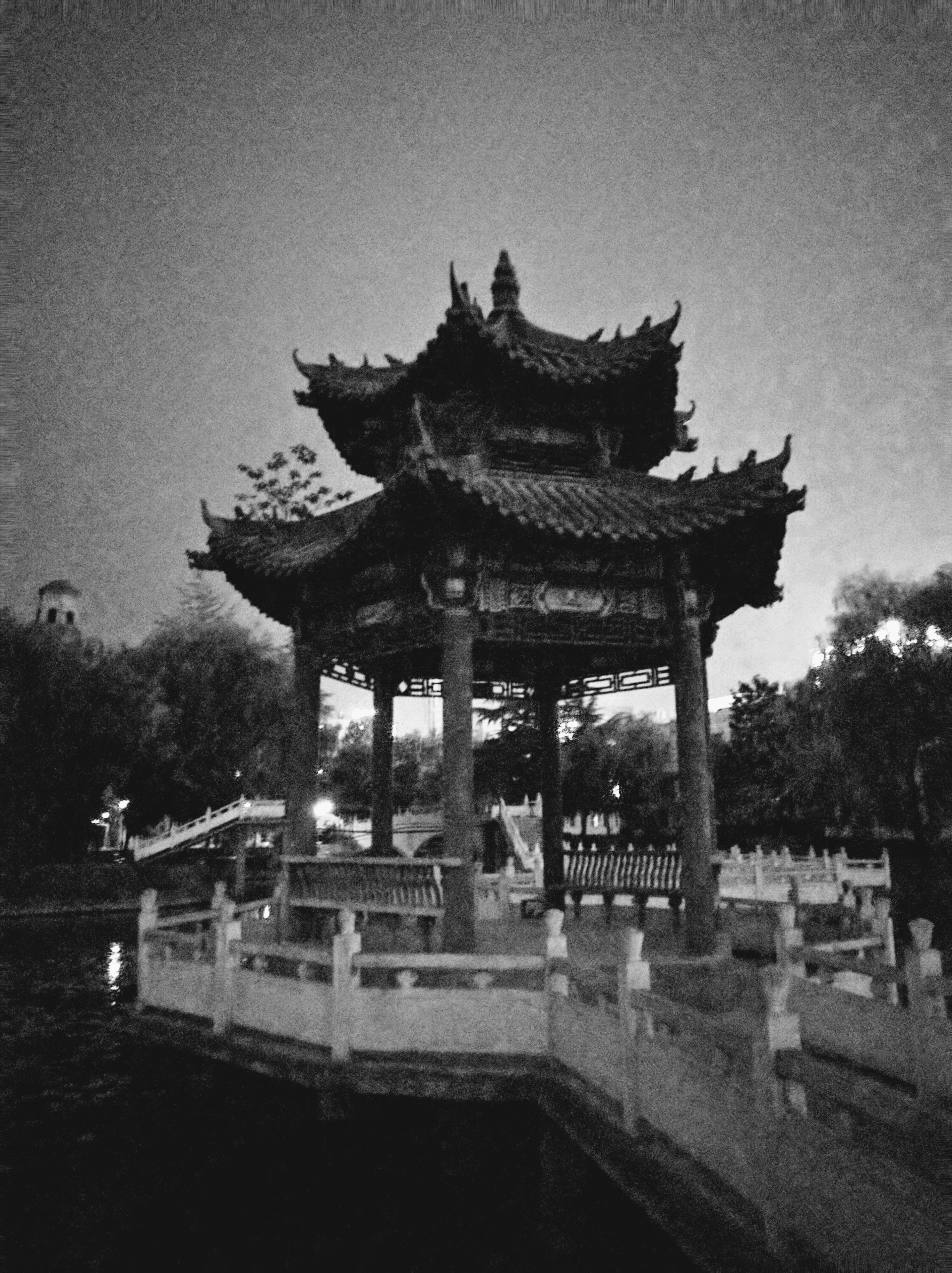 Xi'an University has beautiful gardens and small pagodas surrounded by water or grass/flowers. At night, the city lights shine bright to create a hall around this one. #pagodas #china #travel #xian #blackandwhite