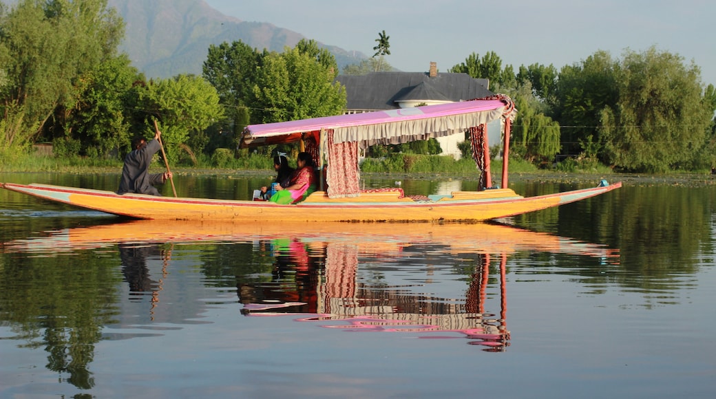 Nigeen Lake, Srinagar, Jammu e Kashmir, Índia