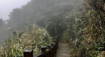 @Guling Forest, Fuzhou China.

Taken a few days before the park was closed to the public due to the coronovirus outbreak in China. This park has gorgeous views of the mountains