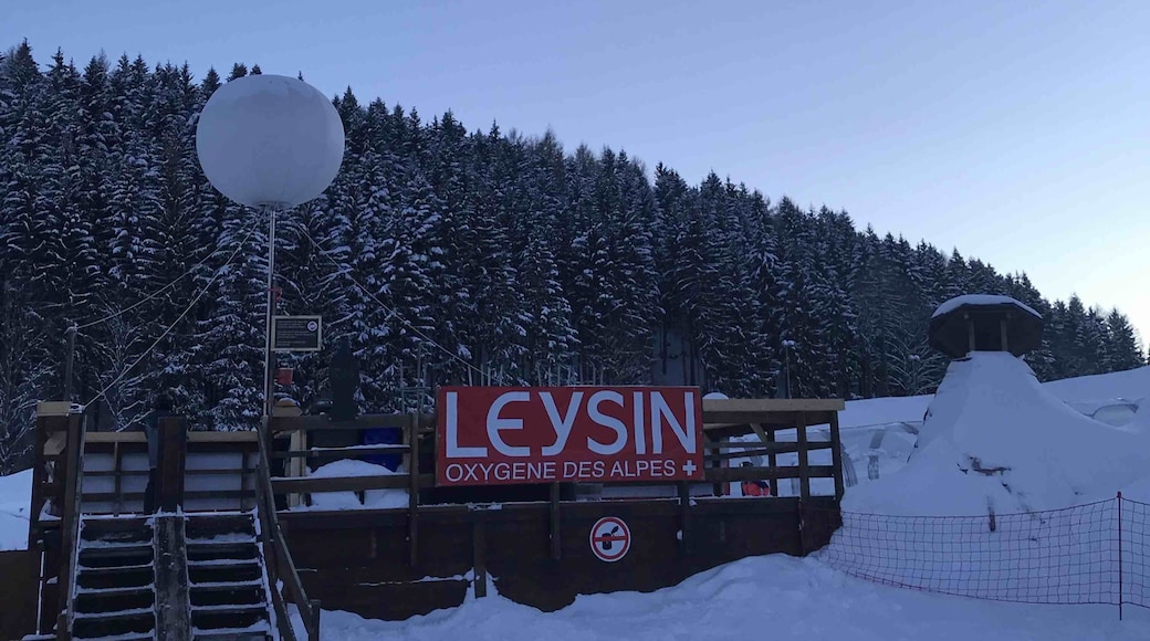 Leysin, Kanton Vaud, Zwitserland