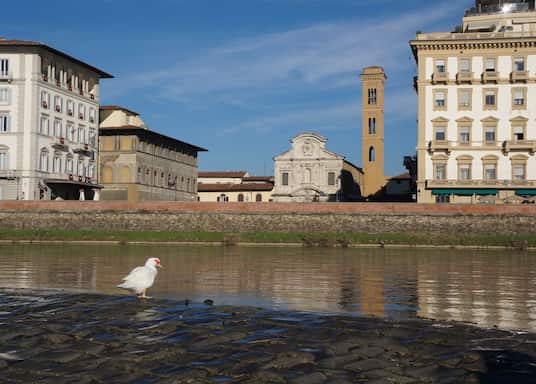 San Frediano, Italia