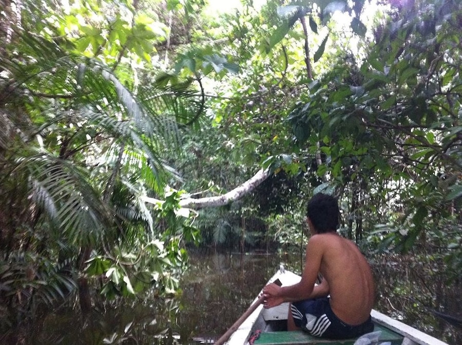 On the Amazon