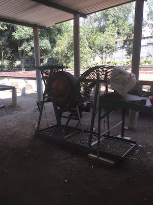Macadamia nut farm just outside Antigua, Guatemala. This machine is used to separate nuts from the shells