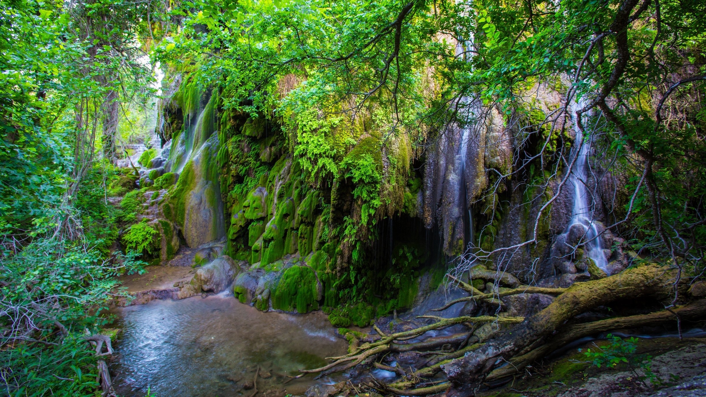 As a longtime Texas resident, Gorman Falls is one of my favorite places.  It is a waterfall in Colorado Bend State Park that is a wonderful reprieve from the typically hot summer days. The falls are spring fed and covered with travertine (cave formations) that have formed over the millennia.  The falls essentially create a cool otherworldly microclimate.  While the park offeres ample camping, the nearby town of Llano can be enjoyed by those who prefer a hotel room and a bed. Be sure to enjoy a stop at the nearby Fiesta winery if in the area.  The wine isn't anything special, but it's drinkable and the owners are often there and will share with you the history of their land and operation.