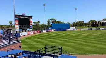 Our local baseball stadium in Port St. Lucie off of St. Lucie West Blvd. It's also the home for the New York Mets spring training team here in South Florida. 