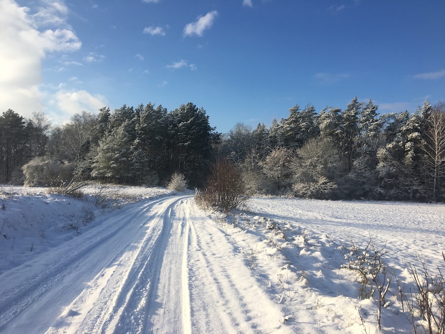 A walk in the Bialowieza Forest in Poland's pristine region Podlasie. Part of primeval forest that dates back 4500 years.
Good place to practice Nordic walking or meditation - for hours you will meet no one but elks and wild boars. The temperatures can drop down to -25C, but you will also get lots of sun on your face!
#LifeAtExpediaGroup