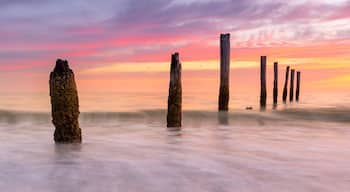 If you take a short walk south from Pinchers on Fort Myers beach, you’ll find these old pilings from what I believe was a private pier or dock. I’m really glad they are still around so I have something to shoot during sunset. #beachtips #fortmyersbeach #longexposure #sunset