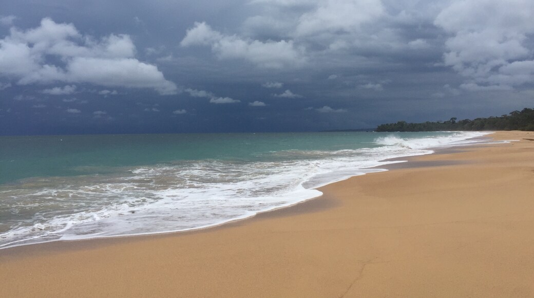 Bluff Beach, Bocas del Toro, Bocas del Toro Province, Panama