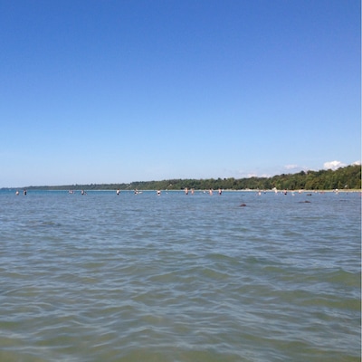 Final camping trip of the season and we finally have sun for once. This weekend we camping at Point Farms Provincial Park off of Lake Huron. It's our first time here and the beach is enormous!!! I highly recommend visiting this place as its great for families. White sandy beaches that stretch as far as the eye can see. Water is cold but refreshing with only a little bit of seaweed. The shallow end extends quite far out giving you lots of room to have fun without getting in anyone's way. Bugs aren't too bad either. There is no firewood available within the park but a 30 second drive north outside the park marks a small variety store where you can buy all your camping needs such as fire starters, wood, kindling, and so on. The closest grocery store is about a 20 minute drive south towards Goderich called Zehers. This parks marks our 30th provincial park in Ontario.
