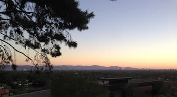 Looking at Phoenix at sunset!