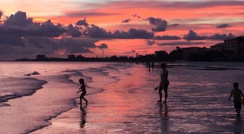 Another amazing SW Florida Sunset
#goldenhour