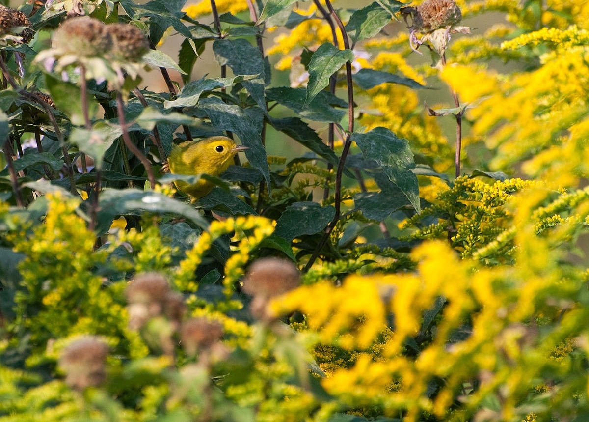 Savanna, IL Vacation Rentals house rentals & more Vrbo