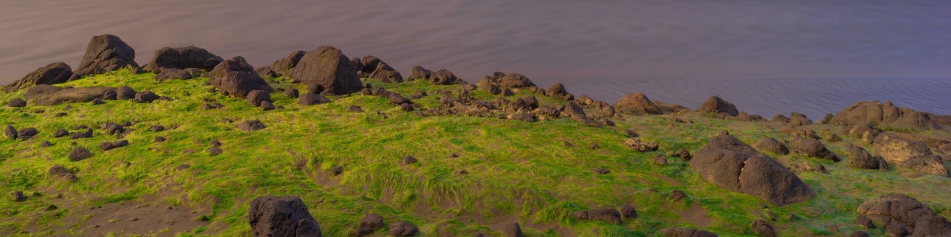 Any visit to Auckland should include a visit to Bethells Beach. This pic is different because green is not a colour normally associated with the black sand beaches of Auckland's west coast. A lot to see at Bethells, the Te Henga walkway (best walk in Auckland), Lake Wainamu including the biggest sand dune I have ever seen.