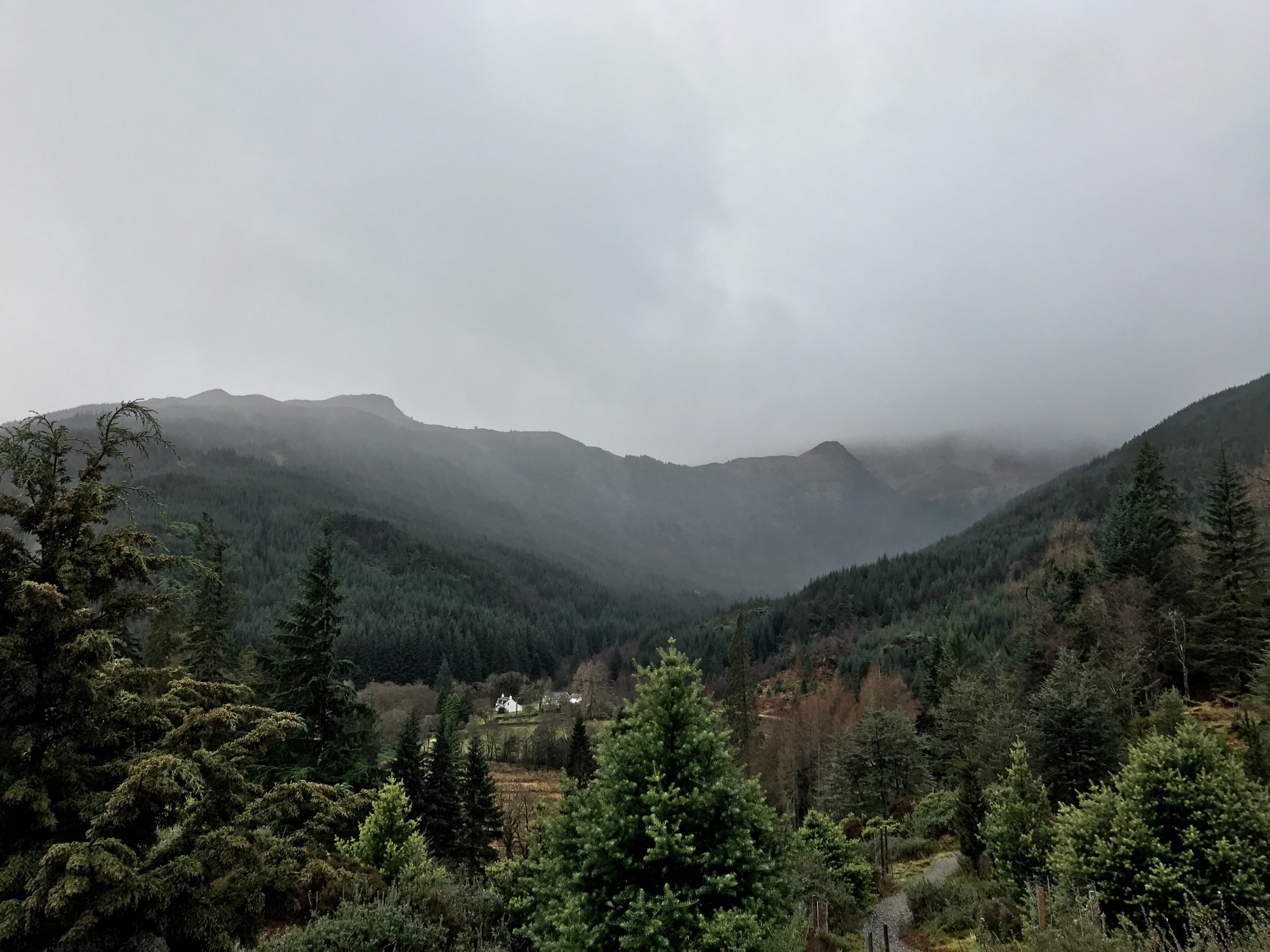 Benmore botanical gardens with the rain moving in. Really nice place for a day out. Lots to see and do and some nice viewpoints like this. 